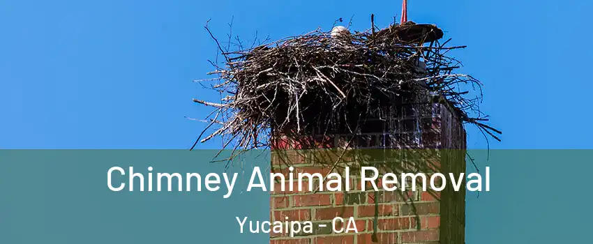  Chimney Animal Removal Yucaipa - CA