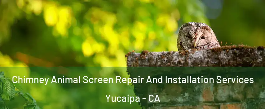  Chimney Animal Screen Repair And Installation Services Yucaipa - CA