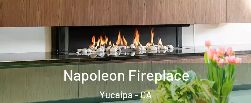  Napoleon Fireplace Yucaipa - CA